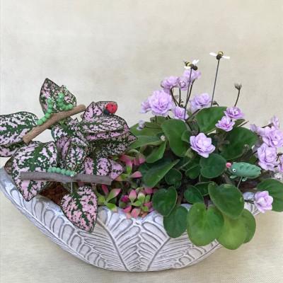 ふるさと納税 那珂川市 虫がいっぱいピック 19本 |  | 01