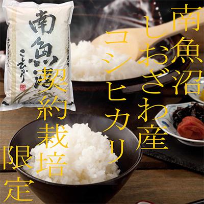 ふるさと納税 南魚沼市 【毎月定期便】契約栽培限定 南魚沼しおざわ産コシヒカリ 精米5Kg 全3回