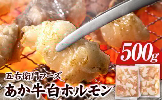 あか牛 白ホルモン 500g 五右衛門フーズ 《60日以内に出荷予定(土日祝除く)》 熊本県 球磨郡 山江村 牛肉 肉 国産 熊本県産 ブランド牛 絶品 贅沢 高級 あか牛 ホルモン もつ モツ もつ鍋