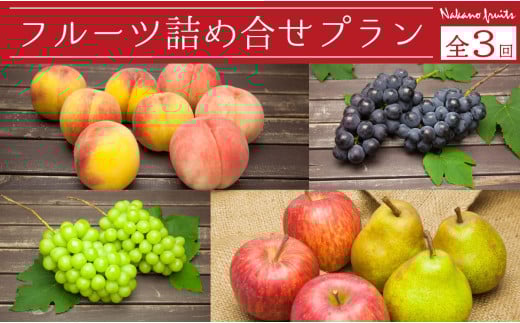 08-06-030　天童フルーツ詰合せプラン(定期便)全3回