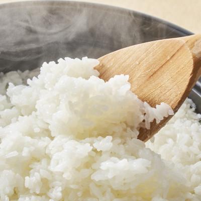 ふるさと納税 関川村 [先行予約] R7年産 濃厚な甘み!岩船産コシヒカリ精米6kg(2kg×3袋)[農家民宿おくやま] |  | 03