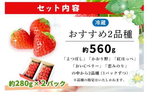 【2027年4月発送】【先行予約】【農場直送！】いちご2品種食べ比べ(約280g×2P)【ふるさと納税 佐賀県 基山町産 げんき農場 苺 ブランド苺 イチゴ いちご フルーツ 果物 くだもの 美味しい