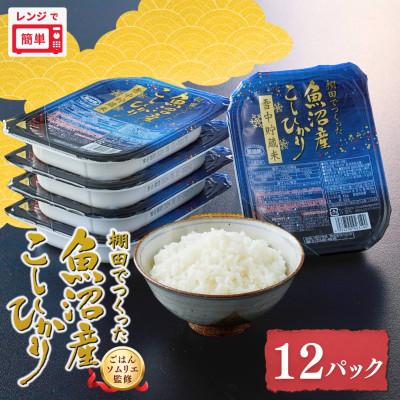 ふるさと納税 小千谷市 魚沼産コシヒカリ雪中貯蔵米パックご飯180g×12個 ふっくら美味しい 非常食 防災備蓄