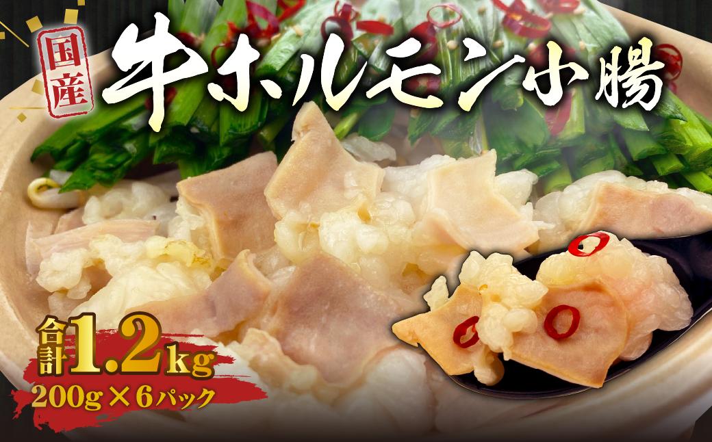 国産牛 ホルモン 小腸 計1.2kg（200g×6パック）