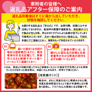 2025年産 さくらんぼ「佐藤錦」秀品 400gバラ詰め（200g×2パック） Mサイズ以上 山形県 東根市 令和7年産 さくらんぼ サクランボ フルーツ 果物 くだもの 期間限定 ふるさと納税 グル