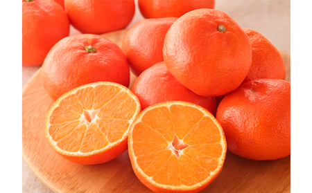 先行予約 みかん 蜜柑 約5kg 小原紅早生 小原紅早生みかん さぬき紅 金時紅 柑橘 オレンジ 果物 フルーツ 果実 旬 贈答用 プレゼント ギフト 11月下旬～12月下旬 配送 香川県 丸亀市