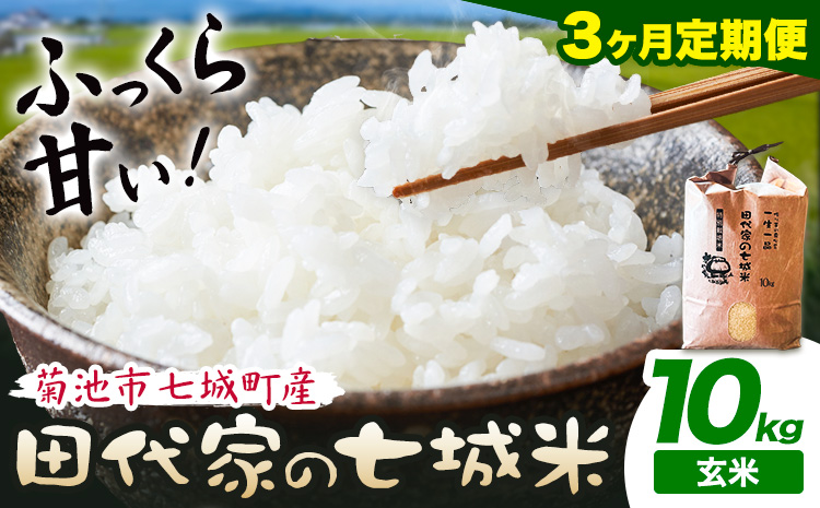 【3ヶ月定期便】令和7年産 菊池市七城町産 田代家の七城米 七城ヒノヒカリ 玄米 10kg 田代こめや《お申込み翌月から出荷》熊本県 菊池市 米 お米 精米 ひのひかり 菊池市産 熊本県産 九州産 送