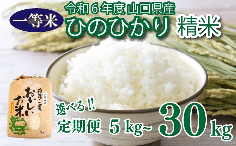 
米 5kg 選べる 定期便 回数 ひのひかり 新米 精米 白米 お米 5kg 15kg 30kg 月1回お届け お届け回数 大容量 下関 山口 ヒノヒカリ
