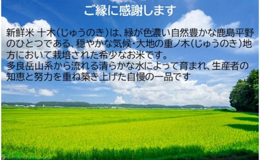 H-17 肥前の国 新鮮米 十木（さがびより）3kg×6か月定期便