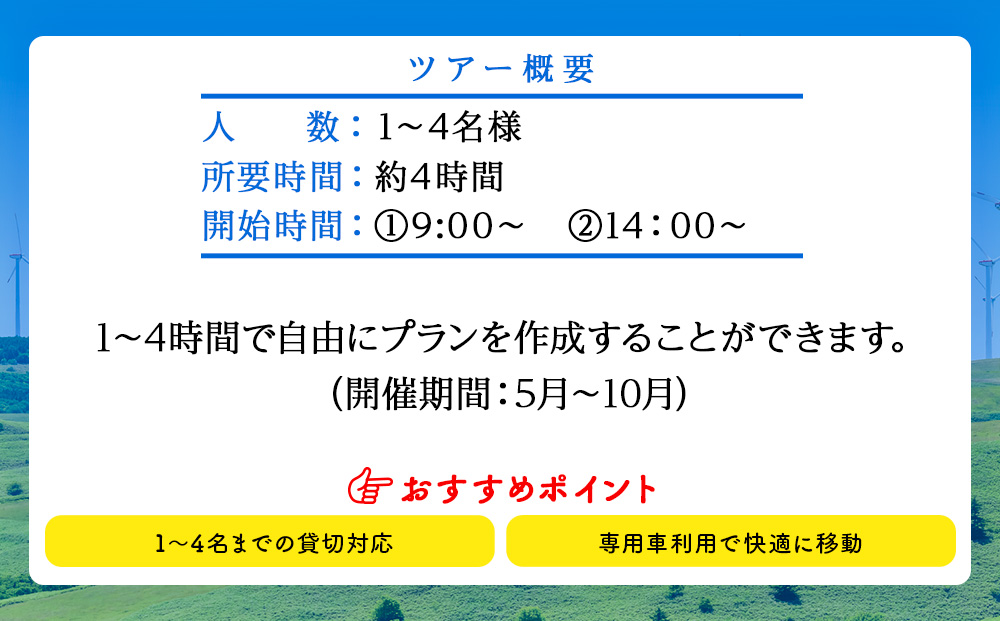 貸切オリジナルプライベートガイドツアー(1～4名まで)