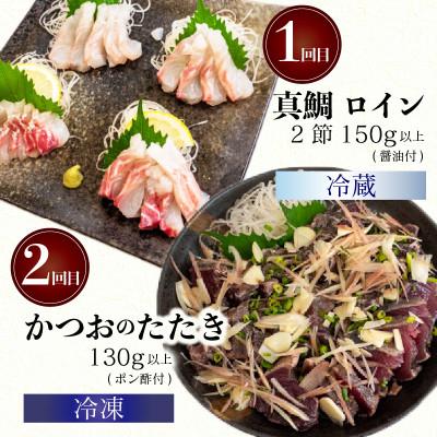 ふるさと納税 須崎市 【毎月定期便】漁師町厳選 鮮魚 4ヶ月定期便全4回 |  | 01