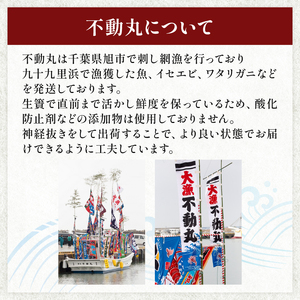 ≪千葉ブランド水産物認定品≫ 活け はまぐり 約1.6kg 【 はまぐり 】