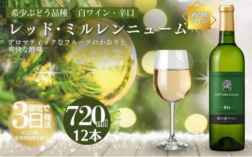 
            ワイン 岩の原ワイン レッド・ミルレンニューム 12本 720ml 希少ぶどう品種 辛口 お酒 希少 ぶどう 岩の原 新潟 上越 最短3日で発送 お届け：7日以内にお届けします。
          