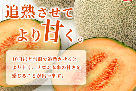 【2026年分 予約】 オレンジの果肉メロン「レノンハート」2玉 (合計約2.8kg以上) 2026年4月下旬～発送 令和8年 予約 フルーツ 果物 高糖度 めろん なめらか 果肉 贈り物 赤肉 メロ