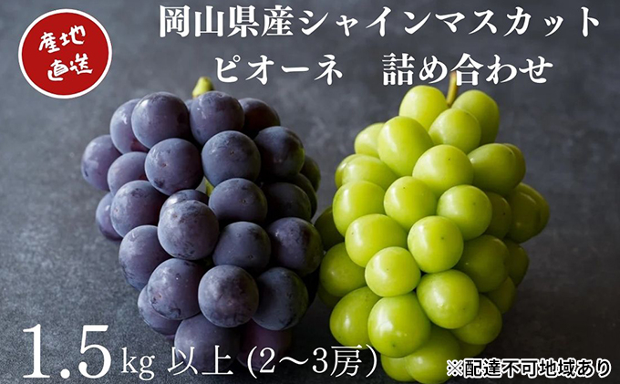 
            厳選 シャインマスカット・ニューピオーネ 2～3房 合計1.5kg以上 詰合せ 産地直送 朝採れ ぶどう 葡萄 Kawahara Green Farm 岡山県産 2025年
          