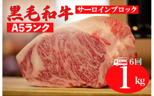 【全6回定期便】黒毛和牛 A5ランク サーロイン ブロック 1kg サーロイン さーろいん ステーキ ブロック肉 和牛 サーロイン 贈答 ギフト