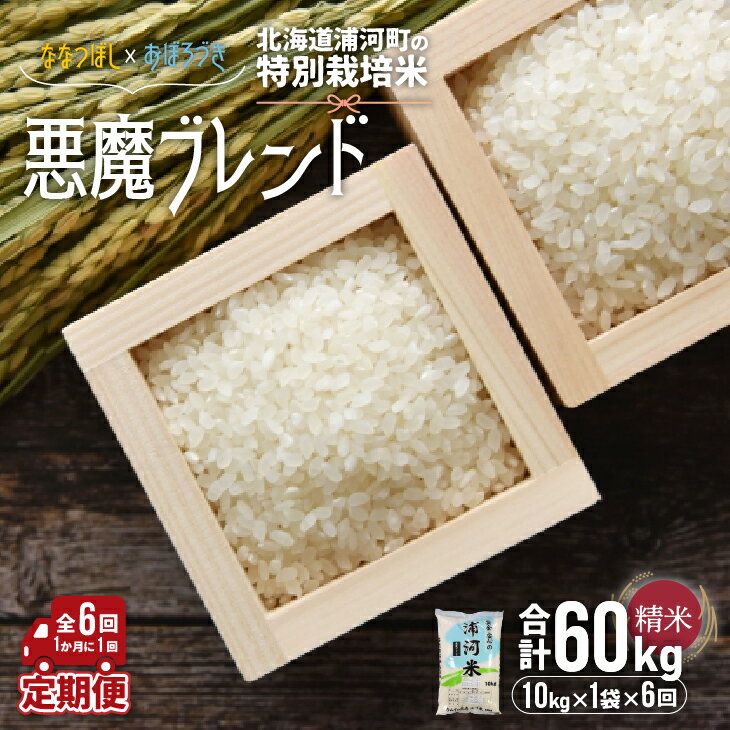 【ふるさと納税】【先行受付開始！】北海道浦河町の特別栽培米「悪魔ブレンド」精米(10kg×1袋)定期便(全6回)[37-1223] 北海道 浦河 ふるさと納税 特別栽培米 ななつぼし おぼろづき ブレンド米 令和7年度 米 精米 定期便 全6回 送料無料