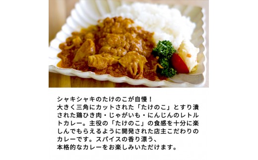 たけのこカレー1人前×4個セット