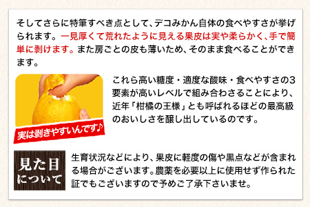 不知火 デコみかん ( デコポン と同品種 ) 不知火 ご家庭用  熊本県産 ( 荒尾市産含む ) 訳あり 約 5kg (12-24玉前後) 柑橘 みかん フルーツ 不知火 訳あり 訳アリ でこみかん