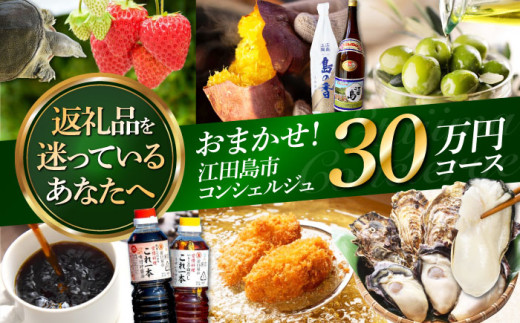 【江田島市コンシェルジュ】返礼品おまかせ！寄附額30万円コース ギフト カタログ あとから カタログ カタログギフト 牡蠣 カキ かき オリーブオイル 柑橘 カレー フルーツ さつまいも すっぽん スイーツ ケーキ 海鮮 カレー ギフト 駆け込み寄附 駆け込み寄付 [XZZ002]