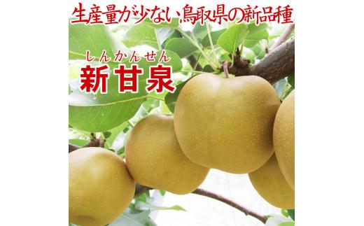 鳥取県産 新甘泉3kg 訳あり【フォーシーズン】 312011_ES006