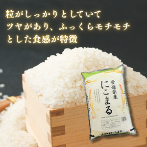 愛媛県産にこまる10kg