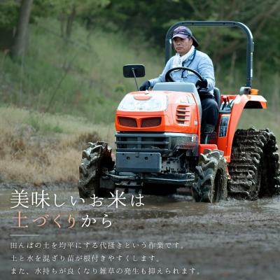 ふるさと納税 三条市 新潟県産こしいぶき 10kg 【032S041】 |  | 01