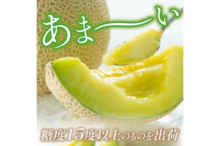 【先行予約／数量限定200】砂姫メロン1玉！大玉2L以上！女性に人気！（2024年6月下旬～発送）※マスクメロン（アールスメロン）系　フルーツ・メロン２玉・果物・ネットメロン