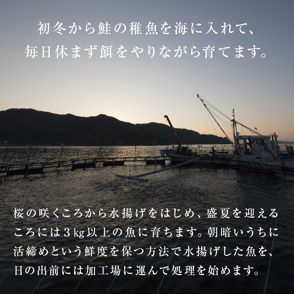 みやぎサーモン中落ち（200g）×3袋