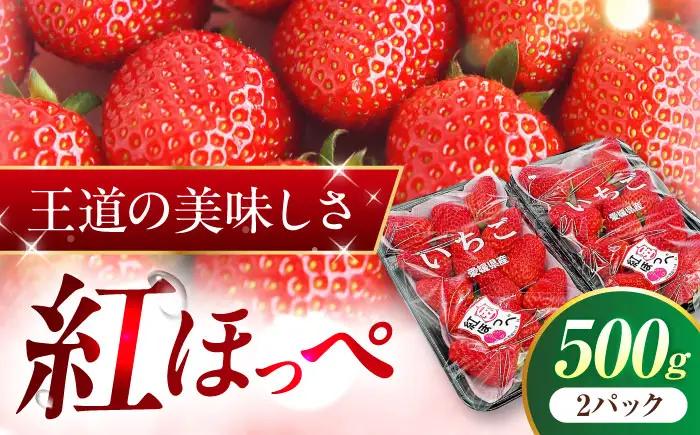 【先行予約】【2027年1月上旬～発送開始】いちご「紅ほっぺ」 2パック BKAY001