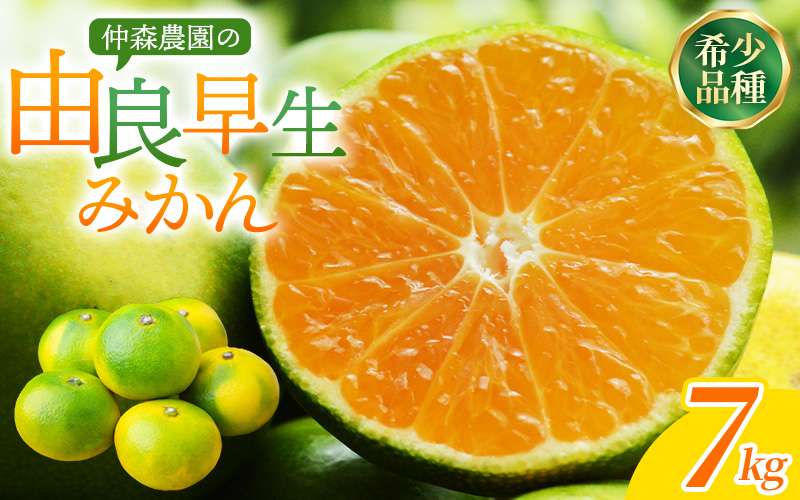 仲森農園の由良早生みかん 約7kg みかん ミカン 蜜柑 温州みかん 温州ミカン 柑橘 フルーツ 果物 くだもの 早生 甘い 旬 希少 数量限定 期間限定 産地直送 三重県 熊野市【2026年11月上