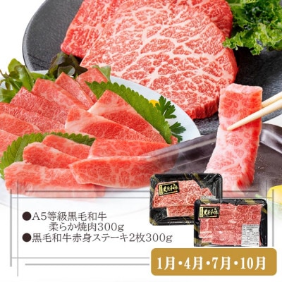 定期便3回配送　お肉とお魚よりどり定期便 LL-6016【配送不可地域：離島】【1498567】