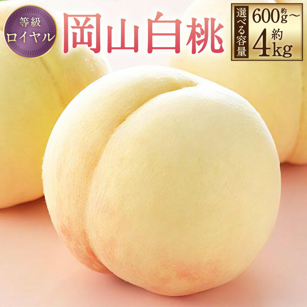 【ふるさと納税】岡山白桃 ロイヤル〈選べる 容量〉約600g(3玉) / 約1kg(4〜6玉) / 約1.2kg(4〜8玉) / 約2kg(5〜10玉) / 約4kg(8〜16玉) 桃 白桃 もも モモ ピーチ 果物 フルーツ デザート おやつ お取り寄せ 岡山県産 送料無料【2026年7月上旬～8月下旬迄発送予定】
