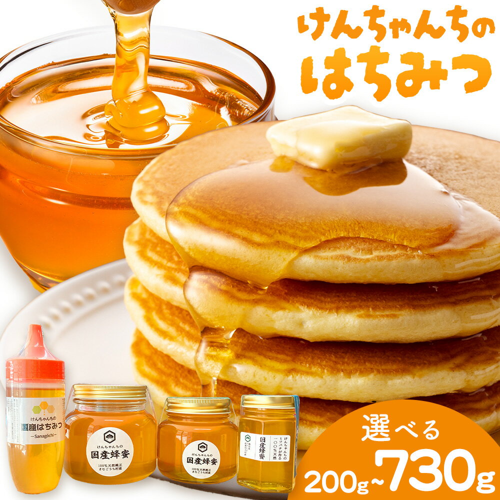 【ふるさと納税】けんちゃんちのはちみつ 選べる 200g 300g 460g 730g《30日以内に出荷予定（土日祝除く）》ふるさと納税 はちみつ ハチミツ 蜂蜜 国産蜂蜜 天然蜜蜂 徳島県 佐那河内村 送料無料