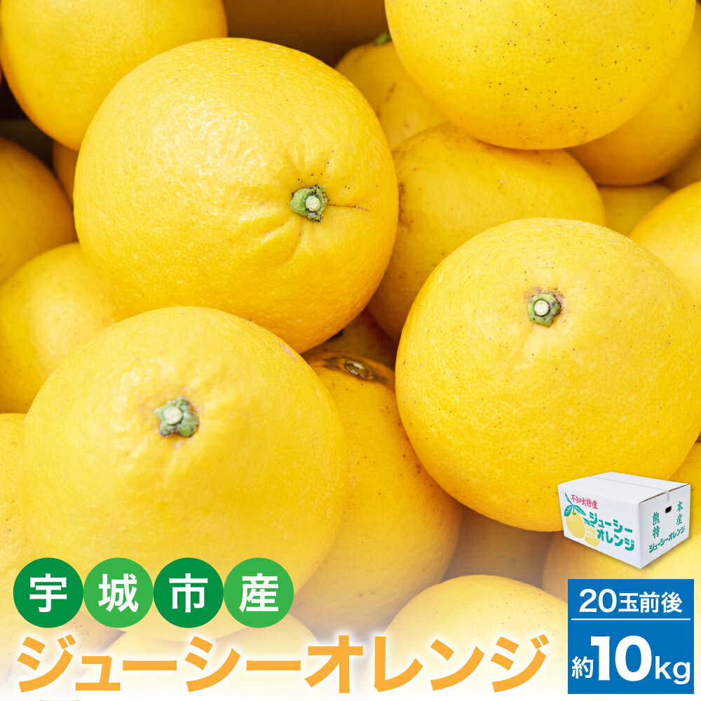 【ふるさと納税】先行予約 ジューシーオレンジ 約10kg（20玉前後） 【2026年4月上旬~2026年5月下旬頃発送予定】 河内晩柑 オレンジ 蜜柑 みかん 柑橘 柑橘類 国産 九州 熊本県 宇城市 送料無料 宇城市産 株式会社la Nui.