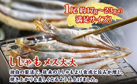 ししゃも魚貝類北海道産メス大大干物ししゃも【30尾】