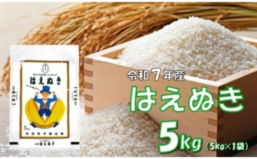 【令和7年産新米】はえぬき５㎏（5kg✕1袋）　安心安全なおぐに木酢米　～新嘗祭献穀農家の米～