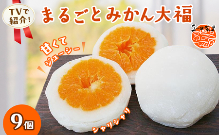 大福 まるごと みかん 詰め合わせ セット フルーツ 和菓子 大福
