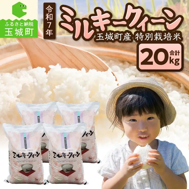 令和7年産 ミルキークイーン 20kg お米 白米 精米