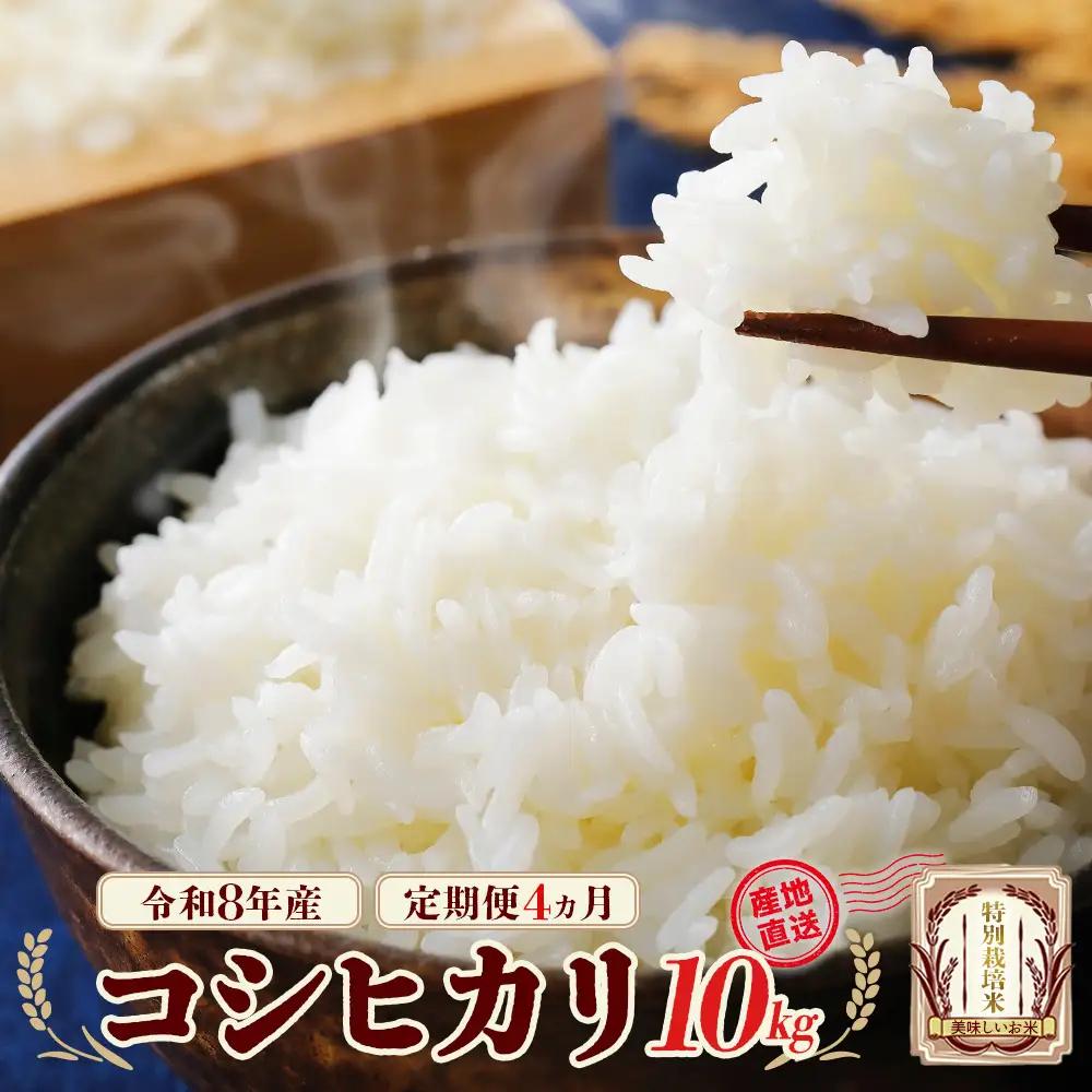 【先行予約】【4か月定期便】令和8年産　特別栽培米コシヒカリ10kg/計40kg　特別栽培米　コシヒカリ　雪蔵銀ぴか米 　会津　喜多方【07208-0954】