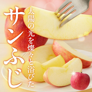 りんご ミツ入り サンふじ 3kg フルーツ 果物 山形 08-03-099