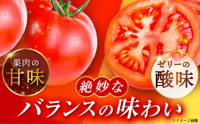 【1ヶ月程度で発送！】【10月1日まで受付】赤熟もぎりのひがしみの王様トマト 20玉（約4kg） / トマト とまと 王様トマト 完熟 / 恵那市 / 東美濃農業協同組合 [AUDS002]