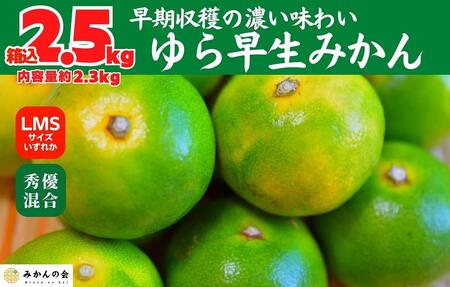 ゆら早生 みかん 箱込2.5kg (内容量2.3kg) SMLサイズのいずれか 秀品 優品 混合 有田みかん 和歌山県産 【みかんの会】［2026年10月下旬頃より順次発送予定］