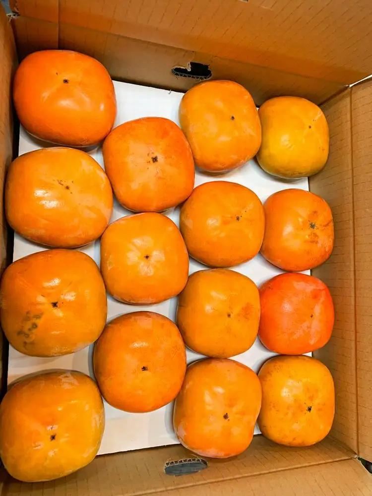 【2026年発送分予約】和歌山秋の味覚　平核無柿（ひらたねなしがき） 約7.5kg　※2026年10月上旬頃〜11月上旬頃に順次発送（お届け日指定不可）【uot700A】