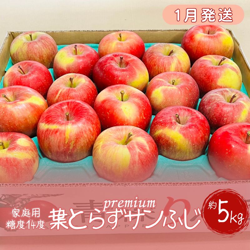 【ふるさと納税】【1月発送】訳あり 家庭用 プレミアム葉とらずサンふじ蜜入り 約5kg【糖度14度保証】【青森りんご・マルコウアップル】 　お届け：2025年12月1日～2025年12月31日