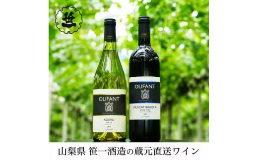 【蔵元直送】笹一酒造のOLIFANT(オリファン)ワイン＜甲州・MBA＞2本セット