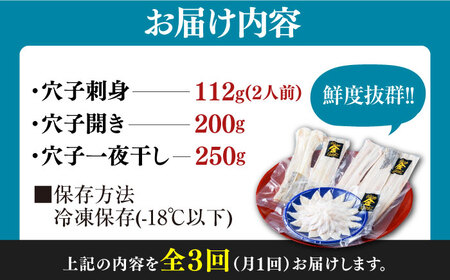 【全3回定期便】対馬産 活〆 穴子 ３点 セット B【THE・対馬株式会社】《対馬市》新鮮 あなご 刺身 天ぷら 海鮮 肉厚 簡単調理 二人前[WAS009]