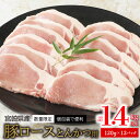 【ふるさと納税】〈数量限定・個包装で便利〉宮崎県産豚ロースとんかつ用 約120g×12パック 計 1.4kg以上
