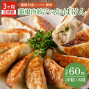 【ふるさと納税】【3ヶ月定期便】蓮根肉餃子のおばけん【20粒×3回】【野菜 ギョーザ れんこん しゃきしゃき おいしい ストック 茨城県 鹿嶋市】（KBU-16）