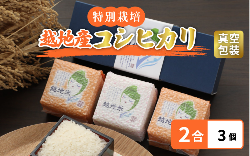 
米 越地（こいち）産 特別栽培米 コシヒカリ 令和6年産 真空包装 2合 × 3個【キャンプ 保存 備蓄 防災 バーベキュー BBQ 持ち運び簡単】[m24-a003]
